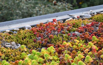 the cost of Ashampstead Green green roof installation