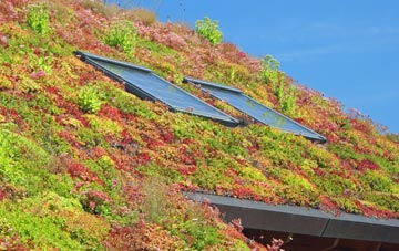 Ashampstead Green living roof systems